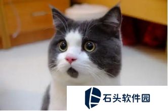 逆水寒2